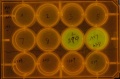 Thumbnail for version as of 16:45, 23 September 2012