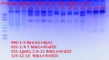 Thumbnail for version as of 12:59, 7 August 2018