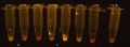Thumbnail for version as of 16:47, 23 March 2011