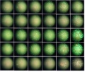 Thumbnail for version as of 13:55, 8 April 2016