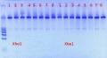 Thumbnail for version as of 12:16, 25 March 2012