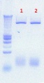 Thumbnail for version as of 13:08, 18 July 2012