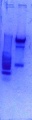 Thumbnail for version as of 15:55, 29 May 2014