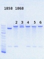 Thumbnail for version as of 11:03, 29 October 2013