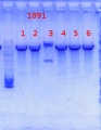 Thumbnail for version as of 15:50, 1 November 2013