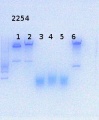 Thumbnail for version as of 17:21, 1 August 2014
