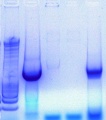 Thumbnail for version as of 15:27, 29 March 2011