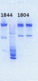 Thumbnail for version as of 16:28, 26 September 2013