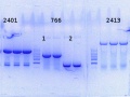 Thumbnail for version as of 12:19, 6 February 2015