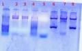 Thumbnail for version as of 14:53, 27 July 2011