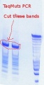 Thumbnail for version as of 16:10, 20 August 2011