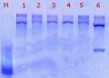 Thumbnail for version as of 16:51, 24 June 2011