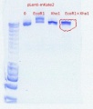 Thumbnail for version as of 09:22, 23 September 2011