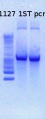 Thumbnail for version as of 14:30, 6 February 2013