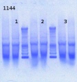 Thumbnail for version as of 12:47, 1 April 2013