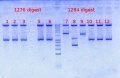 Thumbnail for version as of 14:10, 10 August 2012