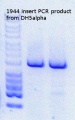 Thumbnail for version as of 10:46, 23 April 2015