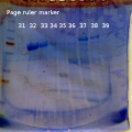 Thumbnail for version as of 15:38, 13 October 2015