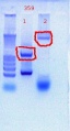 Thumbnail for version as of 11:22, 20 October 2011
