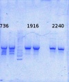 Thumbnail for version as of 12:18, 29 October 2014