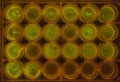 Thumbnail for version as of 08:33, 24 June 2014