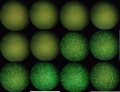 Thumbnail for version as of 18:16, 26 April 2011
