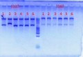 Thumbnail for version as of 11:41, 9 July 2012