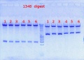 Thumbnail for version as of 15:25, 19 September 2012