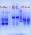 Thumbnail for version as of 17:10, 25 January 2013