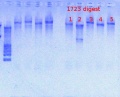Thumbnail for version as of 10:26, 19 April 2013