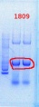 Thumbnail for version as of 14:56, 2 August 2013