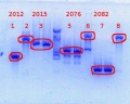 Thumbnail for version as of 15:33, 28 February 2014