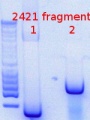 Thumbnail for version as of 16:41, 28 May 2015