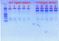 Thumbnail for version as of 14:57, 23 November 2011
