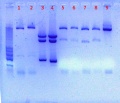 Thumbnail for version as of 12:05, 7 June 2011