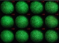 Thumbnail for version as of 12:13, 23 November 2011