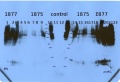 Thumbnail for version as of 17:40, 10 February 2014