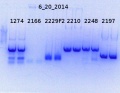 Thumbnail for version as of 15:25, 7 July 2014