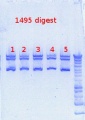 Thumbnail for version as of 15:35, 12 December 2012