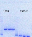 Thumbnail for version as of 14:28, 13 January 2014