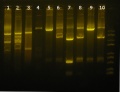 Thumbnail for version as of 19:42, 7 October 2018