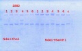 Thumbnail for version as of 10:39, 28 March 2014