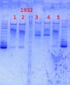 Thumbnail for version as of 12:41, 13 December 2013