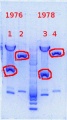 Thumbnail for version as of 11:14, 13 December 2013