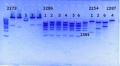 Thumbnail for version as of 17:53, 1 August 2014