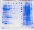 Thumbnail for version as of 14:25, 13 November 2014