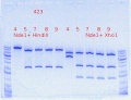 Thumbnail for version as of 14:18, 6 May 2012