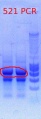 Thumbnail for version as of 11:16, 24 January 2012