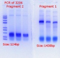 Thumbnail for version as of 13:52, 7 June 2018