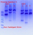 Thumbnail for version as of 12:43, 5 September 2018